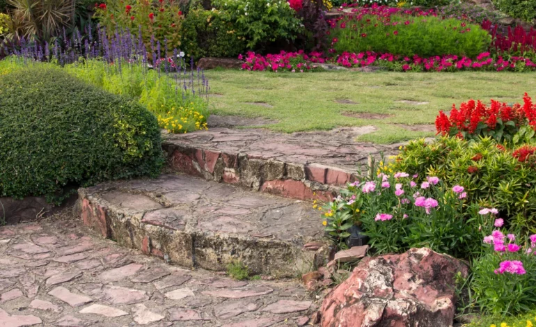 Plantes vivaces : concevoir un jardin coloré quatre saisons avec un paysagiste dans la Manche